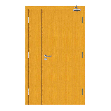 Steel wooden fire door